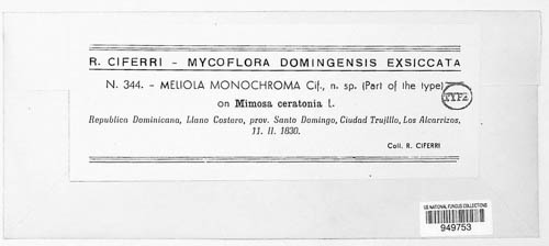 Meliola monochroma image